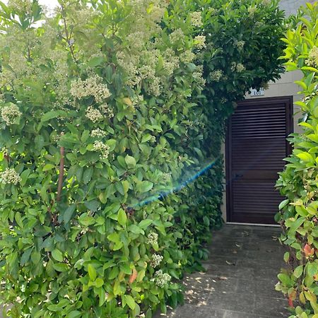 Agriturismo Tenuta Don Giovanni 梅伦杜尼奥 外观 照片