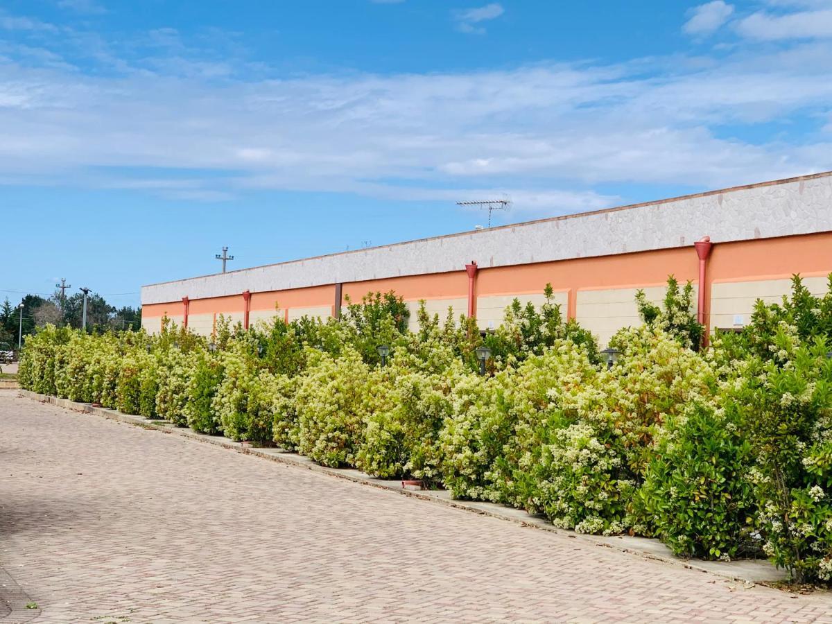 Agriturismo Tenuta Don Giovanni 梅伦杜尼奥 外观 照片