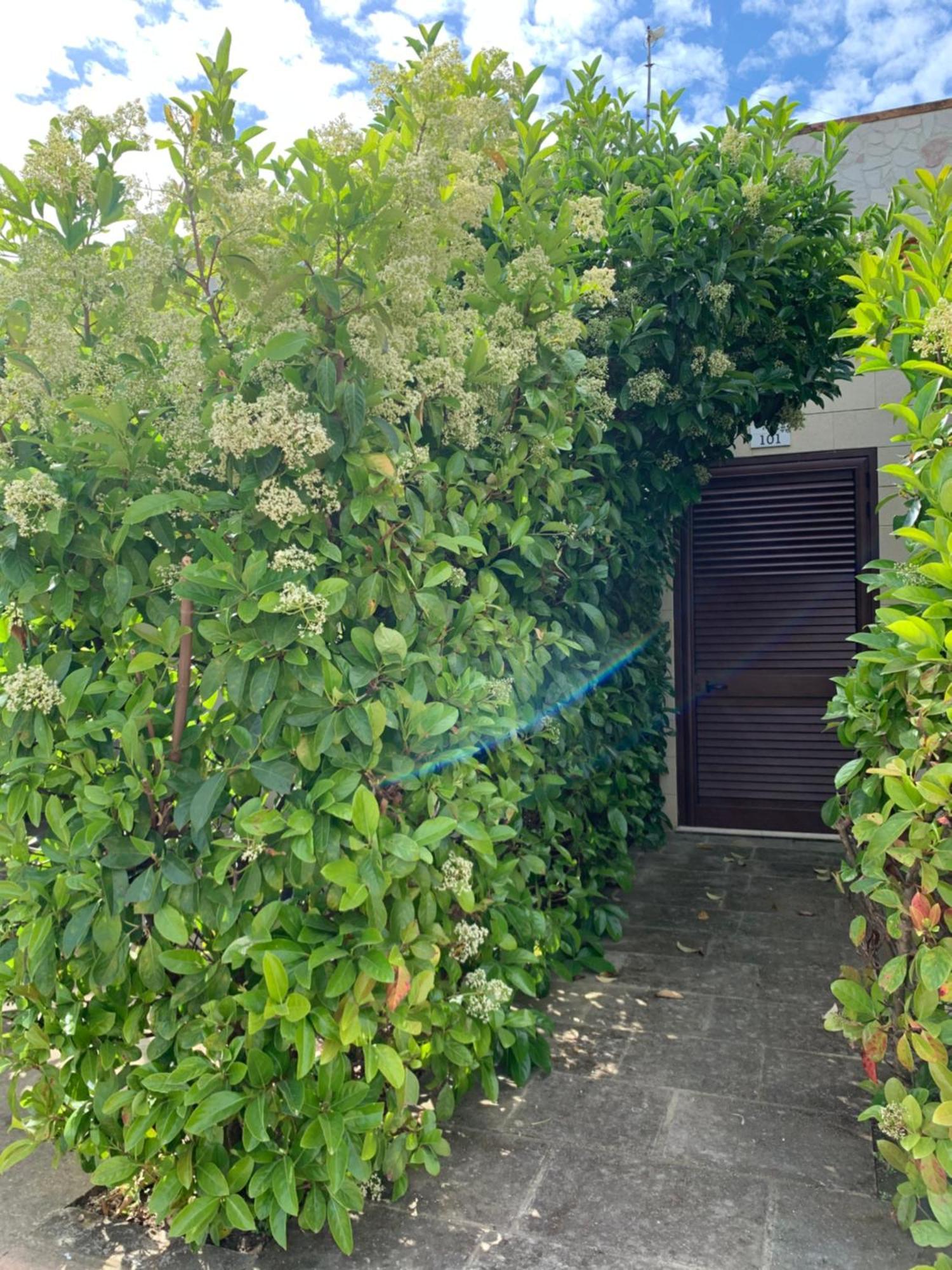 Agriturismo Tenuta Don Giovanni 梅伦杜尼奥 外观 照片